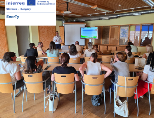 Fighting Energy Poverty in Pomurje: Regional Insights and Solutions