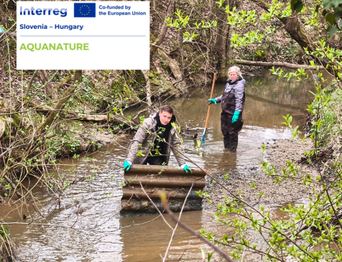 Successfully Conducted Clean-Up Action in Motvarjevci along the Kobiljski Stream
