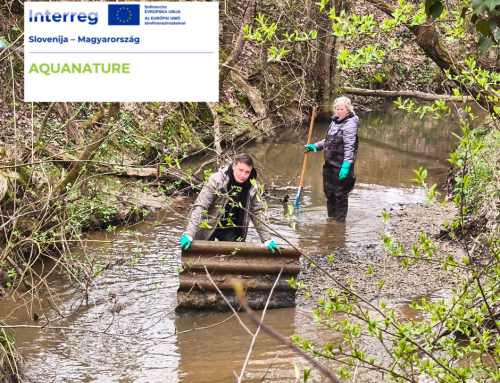 Sikeresen megvalósított tisztítási akció Motvarjevci településen a Kobiljski-patak mentén
