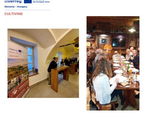 Two Networking Meetings to Strengthen Cross-Border Cooperation within the CULTIVINE Project