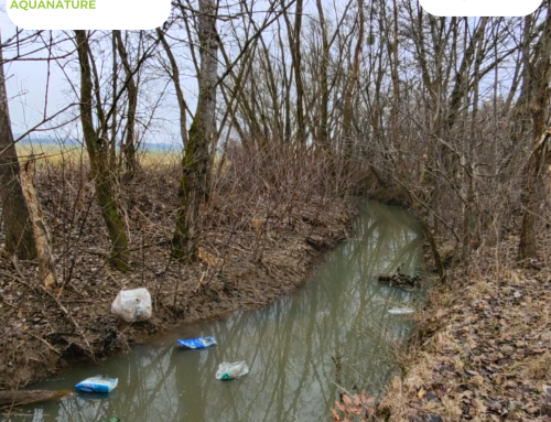 Tisztítási akció Motvarjevciben