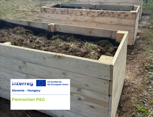 The construction of the learning garden has begun in Szentgotthárd