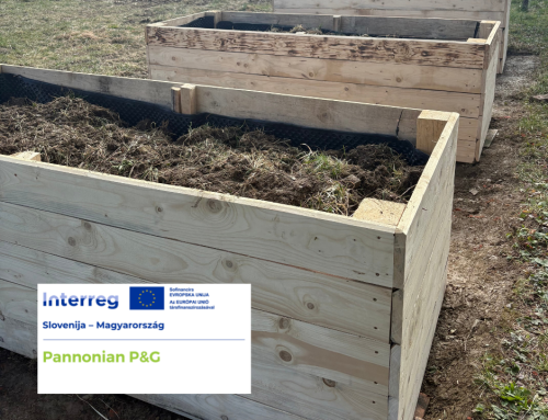 V Monoštru se je začela ureditev učnega vrta