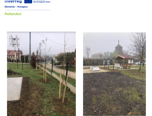 Demonstration Site Established in Lendavski Somlak – A New Experiential Location Showcasing Wild Pollinators