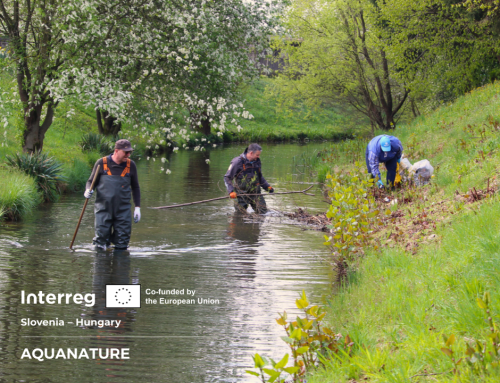 Clean-up Action at Kobilje Stream