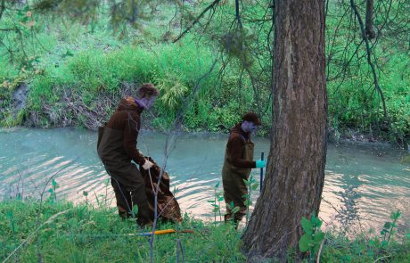 Ekipa v dolvodni smeri