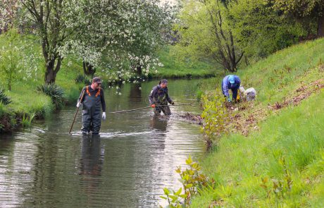 Ekipa v gorvodni smeri