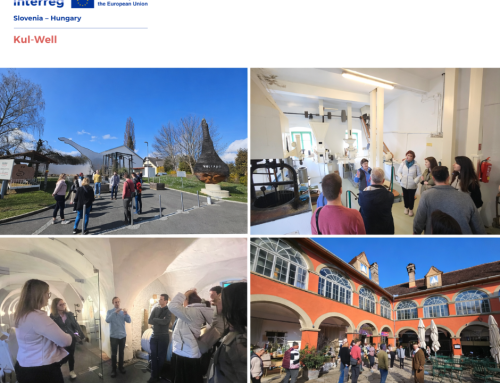 Kul-Well study visit