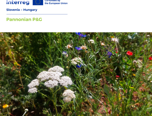 The list of native and traditional plants has been completed