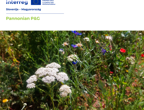 Seznam avtohtonih in tradicionalnih rastlin je dokončan