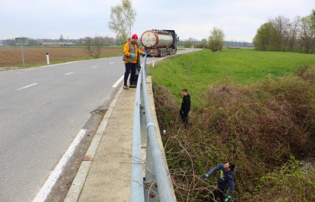 Učenci in učitelji na potoku Čediš