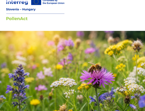 Biodiversity Day in Lenti