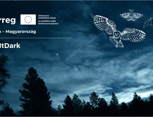 Owls, Nightingales and the Magic of the Dark Sky