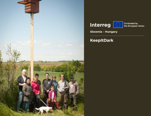 Owls, Nightingales and the Magic of the Dark Sky