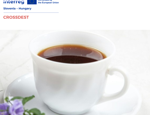 I-DEST E-learning platform – companion for your morning coffee