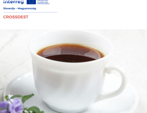 I-DEST E-learning platform – társ a reggeli kávé mellett