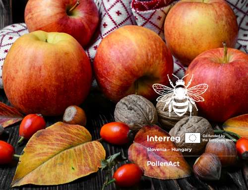 30th Autumn Exhibition – “Nature Gives, Students Create”