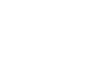 ems-SI_HU_neg_300